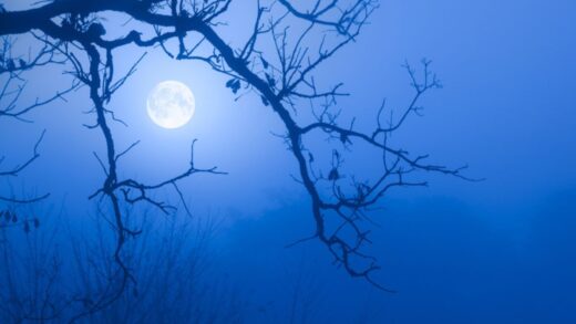 Blue Moon : आज रक्षाबंधन पर दिखेगा ‘नीला चांद’, क्‍या है इसका मतलब? जानें