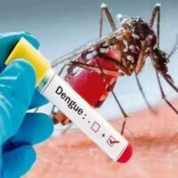 Dengue Test: मरीज डेंगू के कौन से वेरिएंट से पीड़ित, सीरो टाइपिंग टेस्ट से चलेगा पता