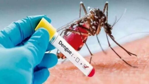 Dengue Test: मरीज डेंगू के कौन से वेरिएंट से पीड़ित, सीरो टाइपिंग टेस्ट से चलेगा पता