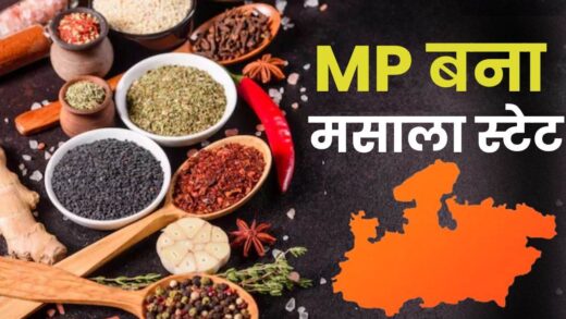 MP बना मसाला स्टेट; मध्य प्रदेश के किसानों ने उगाईं 54 लाख टन मसाला फसलें, देश में पहला स्थान