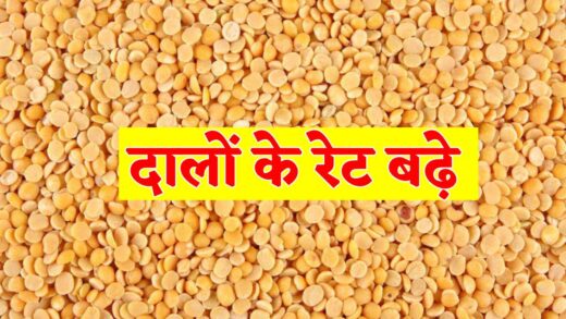 Pulses Price: अचानक बढ़ गए दालों के रेट, जानिए क्या है 1 क्विंटल का भाव | Pulses Price: The price of pulses increased suddenly