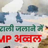 पराली जलाने में MP ने पंजाब-हरियाणा को भी पीछे छोड़ा, सेटेलाइट डेटा से आंकड़े आए सामने