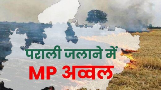 पराली जलाने में MP ने पंजाब-हरियाणा को भी पीछे छोड़ा, सेटेलाइट डेटा से आंकड़े आए सामने