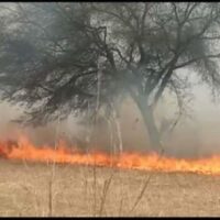 प्रतिबंध के बाद भी नरवाई में लगा रहे आग:  कृषि विभाग की सलाह: गहरी जुताई कर नरवाई का सही उपयोग करें – Seoni News