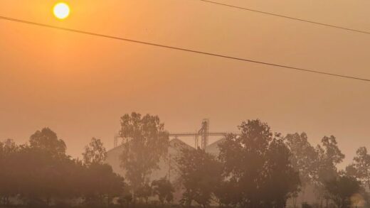 मंदसौर में सर्द हवाओं का असर:  15॰ तक पहुंचा न्यूनतम तापमान, दिसंबर में पड़ेगी कड़ाके की ठंड – Mandsaur News