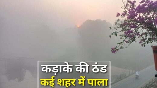 बर्फीली हवाओं से MP में कड़ाके की ठंड, भोपाल-राजगढ़ समेत 24 जिलों में शीतलहर