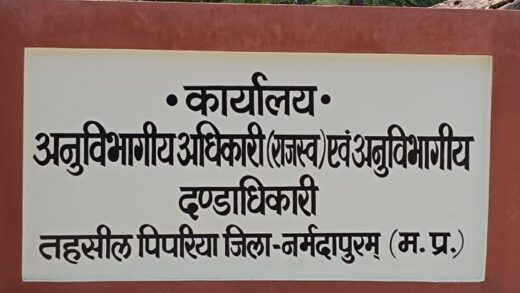 समयसीमा में काम नहीं करने पर कार्रवाई:  नर्मदापुरम कलेक्टर ने तहसीलदार व नायब तहसीलदार पर 5-5 हजार रुपए की पेनाल्टी लगाई – narmadapuram (hoshangabad) News