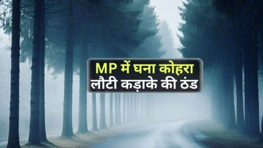 MP में कोहरा और कड़ाके की ठंड, बादल छाने से कई जिलों में हो सकती है बारिश