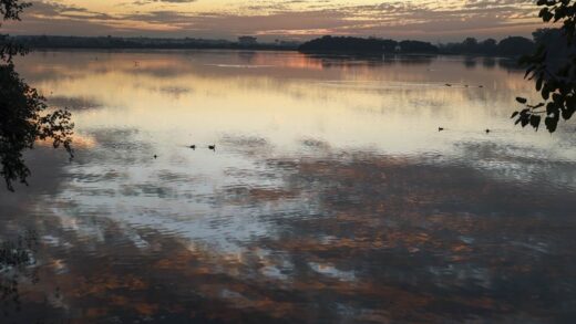 Wetland City Indore: नौ में से चार मापदंडों को पूरा कर इंदौर बना ‘वेटलैंड सिटी’