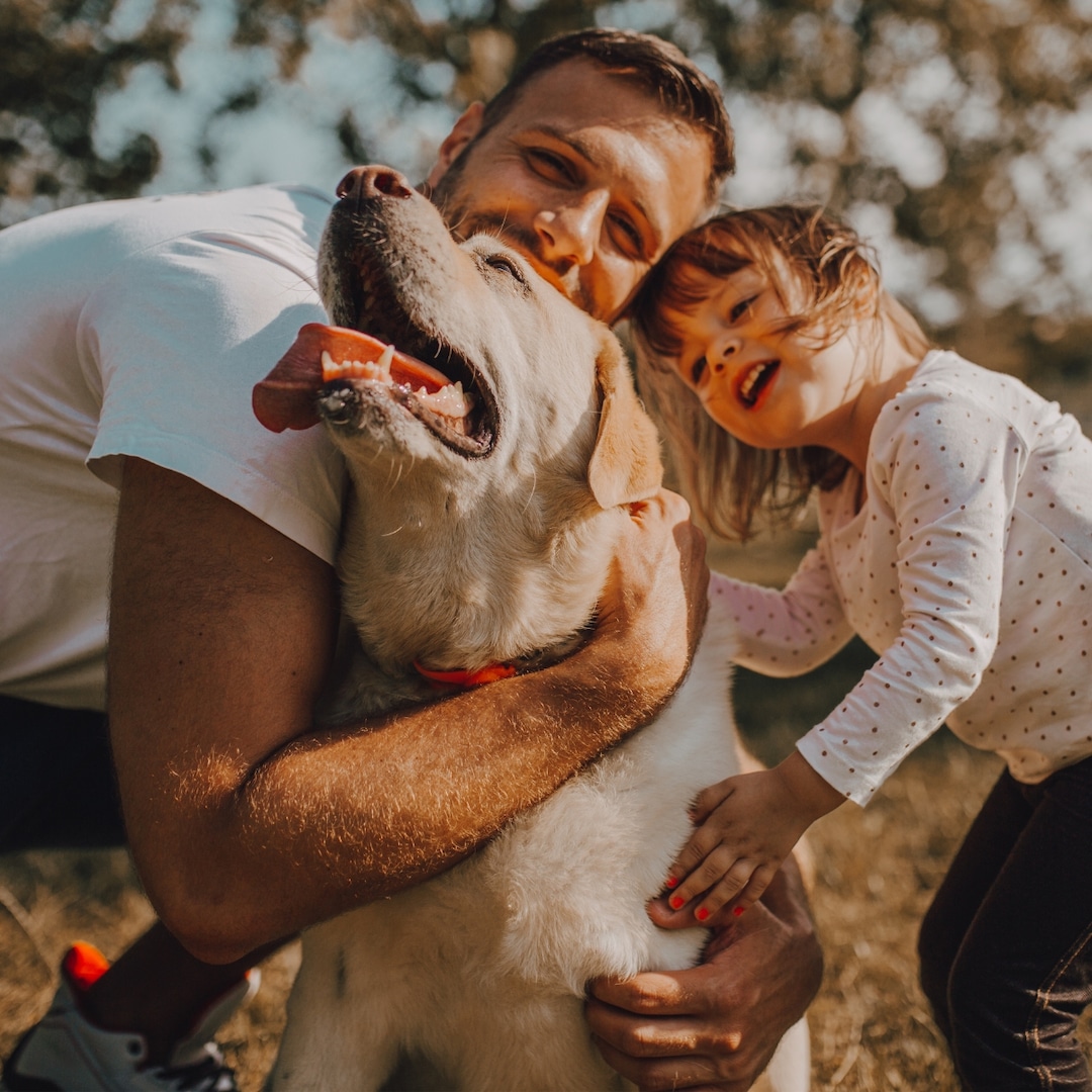 Fetch the Perfect Father's Day Gift: Top Picks for Dog Dads in 2024
