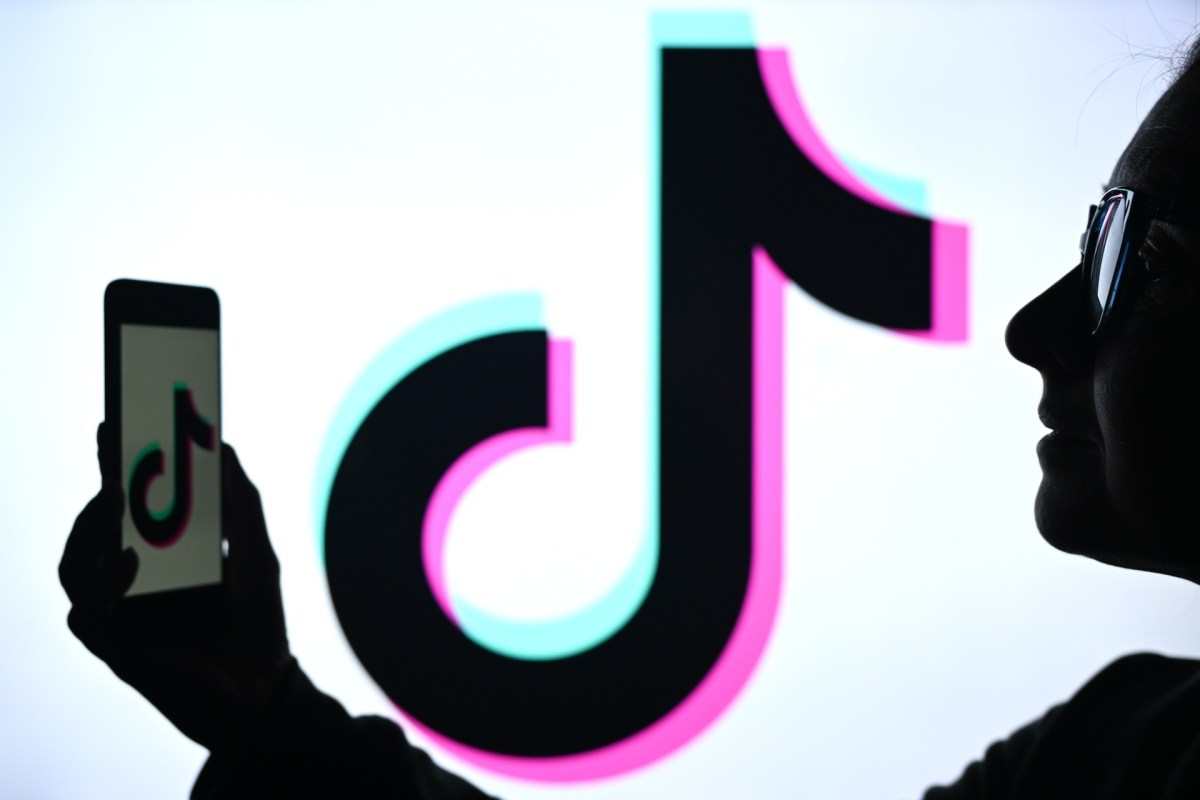 TikTok launches ‘TikTok for Artists,’ a new music insights platform | TechCrunch