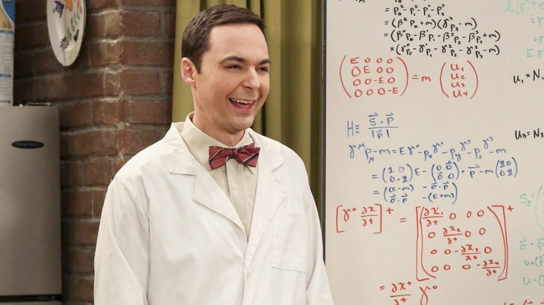 How The Big Bang Theory Episodes Were Rigorously Fact Checked For Accuracy