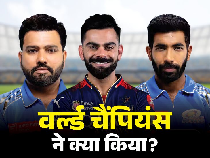 IPL में कैसा खेले भारत के टी-20 वर्ल्ड चैंपियन:सूर्या प्लेयर ऑफ द टूर्नामेंट, अर्शदीप टॉप विकेट टेकर; कोहली ने 8 फिफ्टी लगाईं
