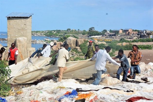 Ocean Action Boosted in Africa as Biodiversity Leaders Call for Urgent Synergy, Funding Reform