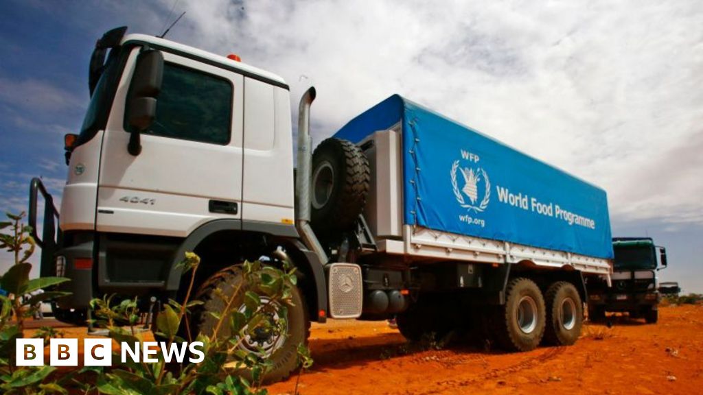 Sudan conflict: Five killed after UN aid trucks attacked en route to el-Fasher