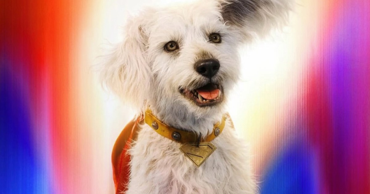 Superman: Krypto Spin-off Gets an Update From James Gunn, Will Be Animated