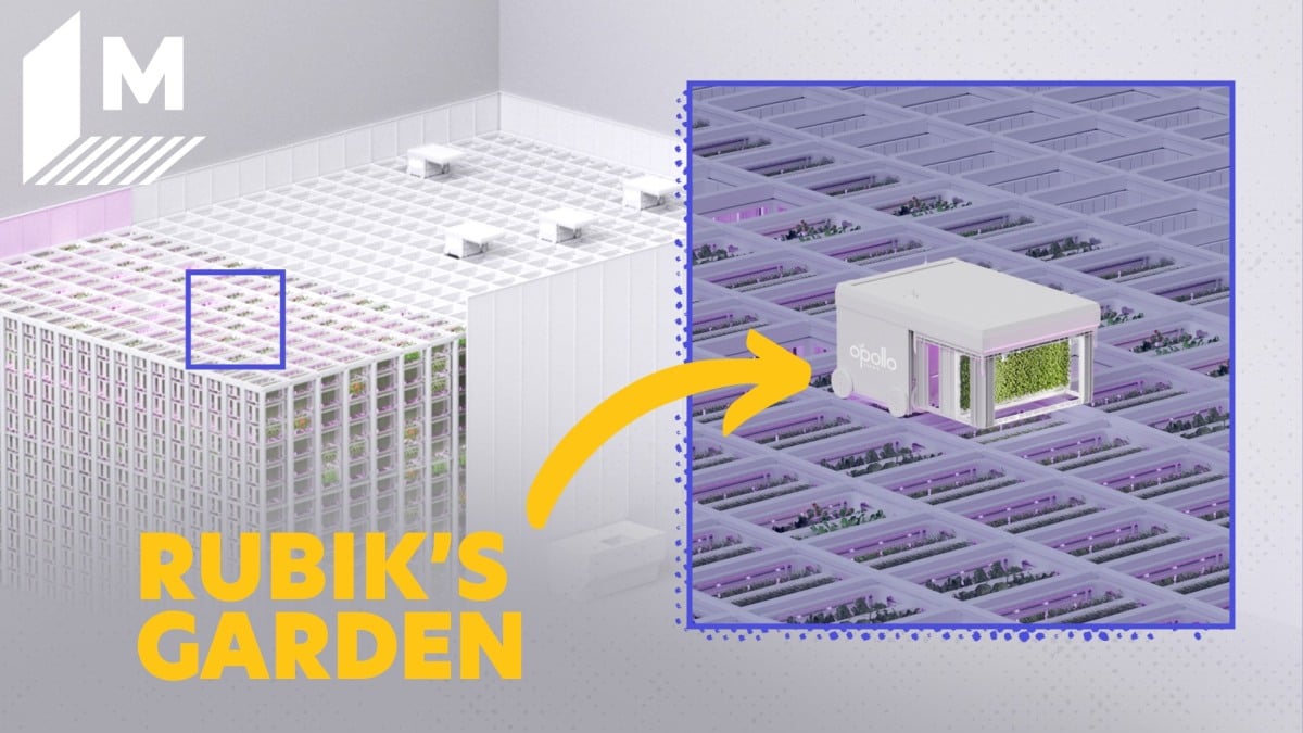 The worlds first robotic vertical farm resembles a Rubiks Cube