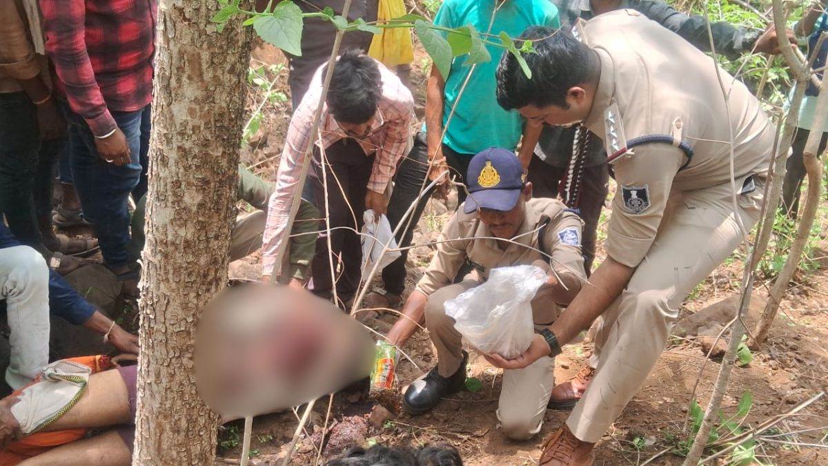 Tiger Attack: बुरहानपुर में युवक पर बाघ का हमला… गले पर पंजे से मारा, ज्यादा खून बहने से मौत