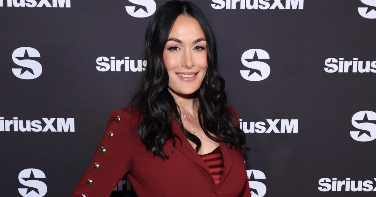 Who Is Brie Bella’s Husband? Bryan Danielson’s Relationship History