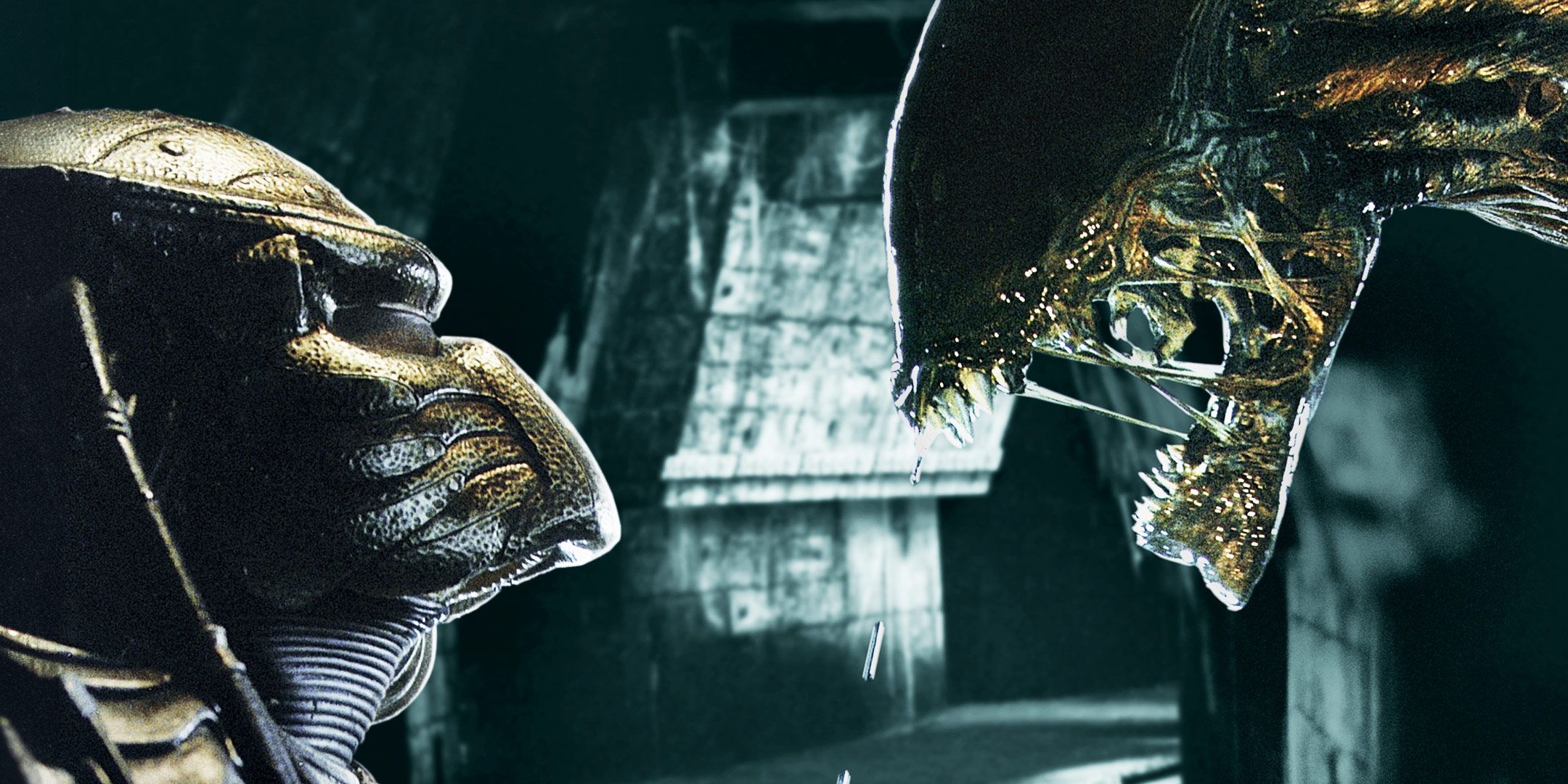 Why Predators Hunt People: The Yautja Code Explained