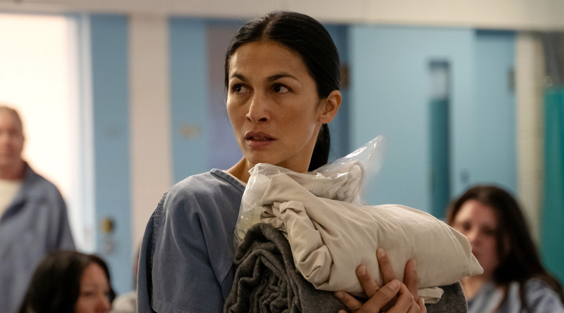 Will There Be a 'The Cleaning Lady' Season 5? What We Know About Renewal or Cancellation Status
