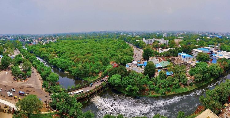 World Environment Day : इंदौर की हरियाली की गोद में बसा ऑक्सीजन हब, पोलोग्राउंड रामबाग बना सुकून का नया ठिकाना