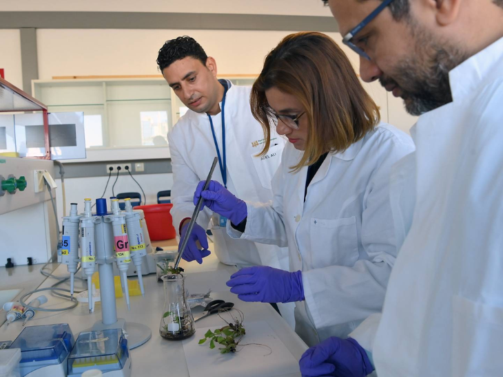 अमेरिका से 80 सालों में पहली बार वैज्ञानिकों का पलायन:  ट्रम्प ने रिसर्च फंडिंग में कटौती की; 75% यूरोप और एशिया में तलाश रहे मौका​​