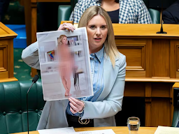 न्यूजीलैंड में MP ने संसद में अपनी न्यूड फोटो दिखाई:  कहा- ये AI से 5 मिनट में बनी, डीपफेक रोकने के लिए कानून बने