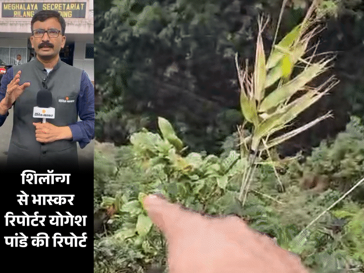 सोनम के सामने हुआ पति राजा का मर्डर:  हत्या के बाद अकेले गुवाहाटी गई सोनम, प्लान के मुताबिक दोस्त राज कुशवाह इंदौर में रहा – Madhya Pradesh News