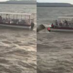 जबलपुर के Bargi Dam में हादसा, क्रूज पलटने से 4 लोगों की मौत, 18 की बचाई गई जान, 9 लापता, रेस्क्यू जारी