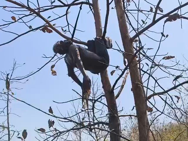 नरसिंहपुर में जंगल में मिले शव की पहचान:  ग्रामीण मानसिक रूप से परेशान थे, बगासपुर का रहने वाला था – Narsinghpur News