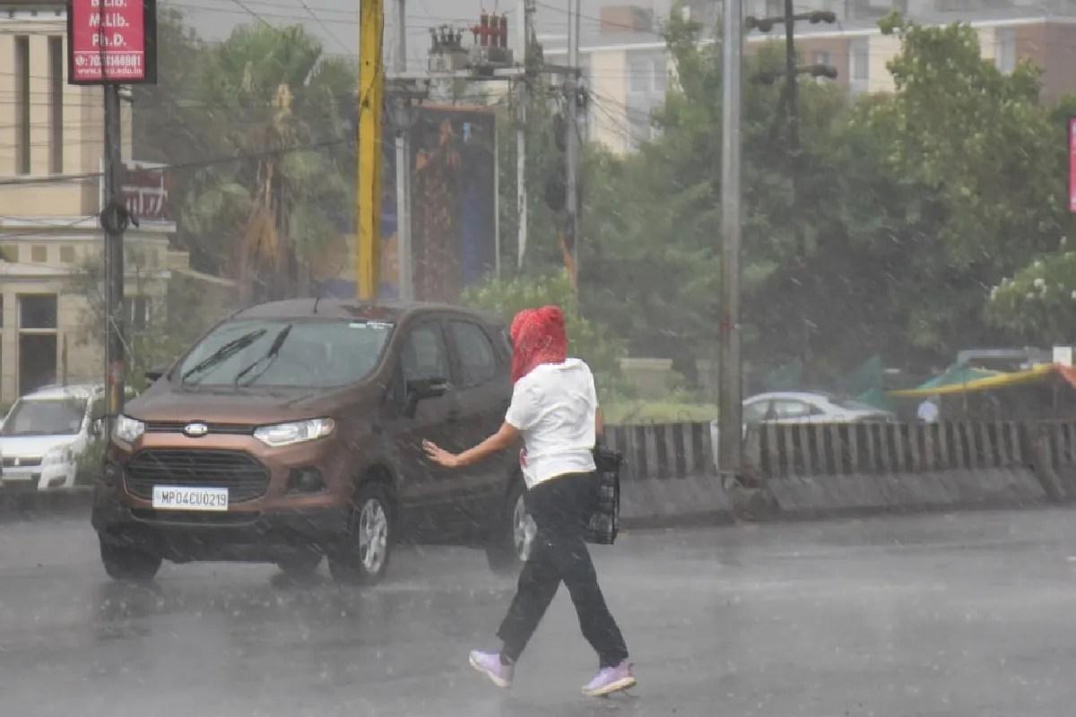 MP Rain Alert: 31 जिलों में बारिश का अलर्ट, भोपाल में बरसे बादल, तेज आंधी से उखड़े पेड़ | Mp Rain Alert In 31 Districts Imd Warning Heavy Thunderstorms Lightning Expected