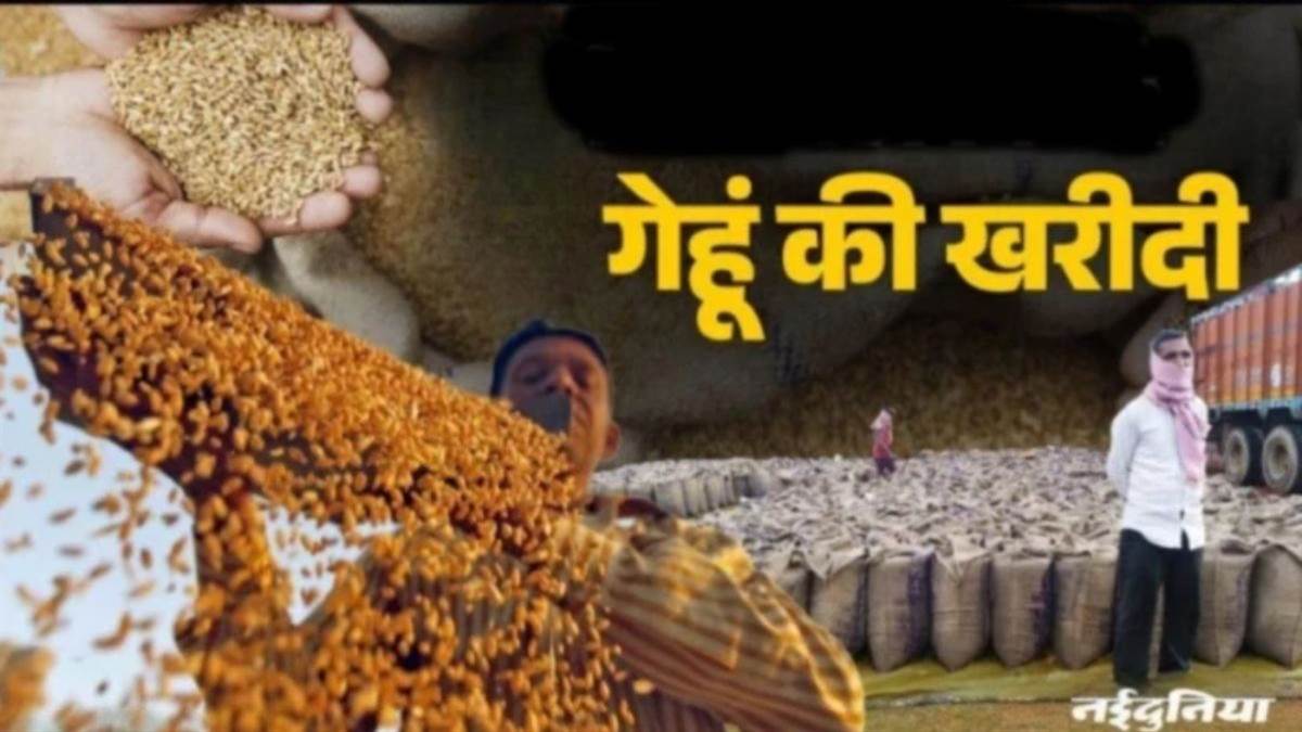 इंदौर जिले में समर्थन मूल्य पर गेहूं बेचने के लिए कतार में परेशान हो रहे किसान, घंटों बाद आ रहा नंबर
