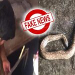 ग्वालियर में रील बनाने के चक्कर में दो बच्चों ने फैलाई अफवाह, करीब 19 हजार लोगों की सांसें अटकीं! | Mp News Gwalior Viral Reel About Snake In Water Tank Turns Out Fake