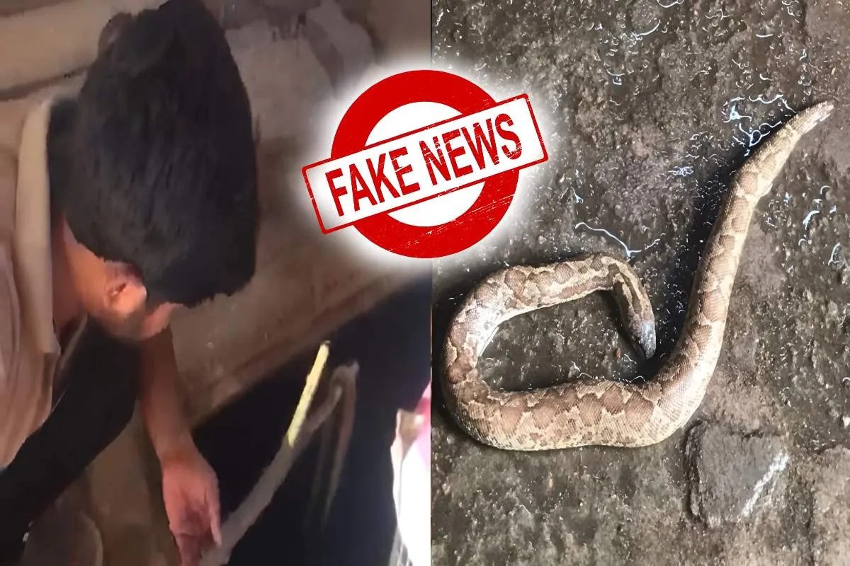 ग्वालियर में रील बनाने के चक्कर में दो बच्चों ने फैलाई अफवाह, करीब 19 हजार लोगों की सांसें अटकीं! | Mp News Gwalior Viral Reel About Snake In Water Tank Turns Out Fake