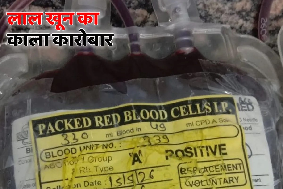 सतना ब्लड बैंक में सख्ती के बाद अब रीवा से शुरू हुआ खून की दलाली का कारोबार | Blood Trade Started In Satna From Rewa
