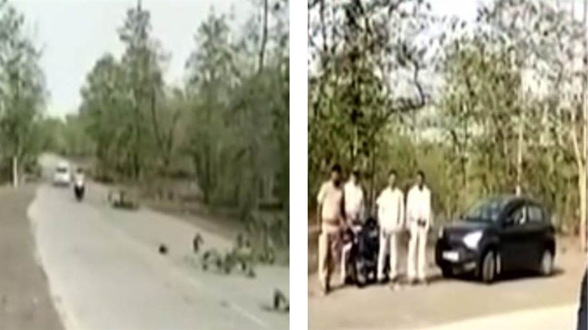 खंडवा के चांदगढ़ वन परिक्षेत्र में पांच दिन में दूसरा तेंदुआ सड़क हादसे का शिकार, वन्यजीव सुरक्षा पर सवाल खंडवा के चांदगढ़ वन परिक्षेत्र में पांच दिन में दूसरा तेंदुआ सड़क हादसे का शिकार, वन्यजीव सुरक्षा पर सवाल