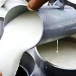 खाद्य सुरक्षा विभाग का बड़ा एक्शन… नामचीन स्कूलों और डेयरियों पर छापा; दूध के 3 सैंपल फेल, 64 भोपाल भेजे
