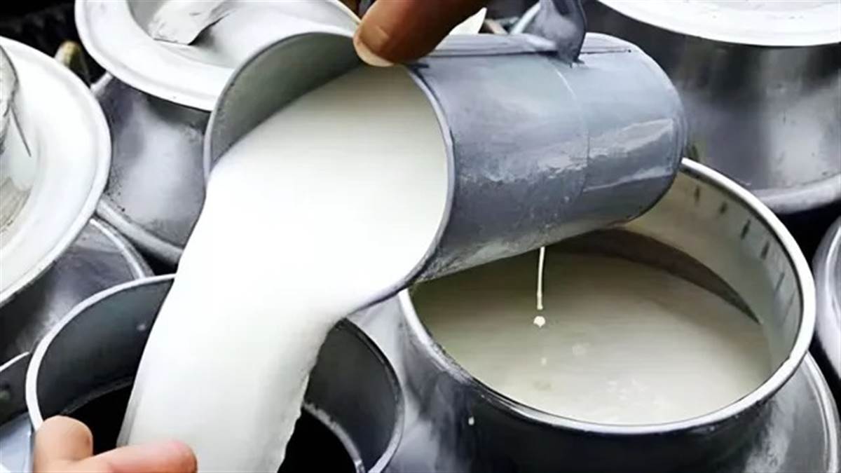 खाद्य सुरक्षा विभाग का बड़ा एक्शन… नामचीन स्कूलों और डेयरियों पर छापा; दूध के 3 सैंपल फेल, 64 भोपाल भेजे