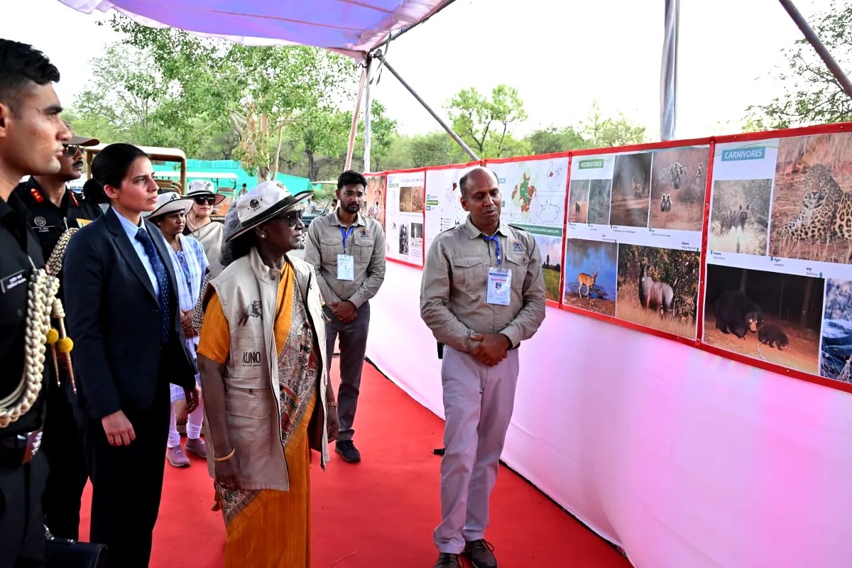 दो दिवसीय प्रवास पर कूनो नेशनल पार्क पहुंची राष्ट्रपति द्रौपदी मुर्मू, चीता कमांड सेंटर का किया निरीक्षण | President Droupadi Murmu Arrived Kuno National Park For 2 Days Visit Inspect Cheetah Command Center दो दिवसीय प्रवास पर कूनो नेशनल पार्क पहुंची राष्ट्रपति द्रौपदी मुर्मू, चीता कमांड सेंटर का किया निरीक्षण | President Droupadi Murmu Arrived Kuno National Park For 2 Days Visit Inspect Cheetah Command Center