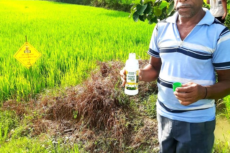 नैनो उर्वरक के उपयोग से धान उत्पादन में हुई वृद्धि, लागत में आई कमी – किसान निरंजन,