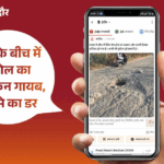 ‘भास्कर समाधान’ का असर…सड़क पर फैली गंदगी हुई साफ:  पार्षद उदावत बने आज के ‘पब्लिक स्टार’; आप भी अपनी कॉलोनी की समस्या पोस्ट करें – Indore News