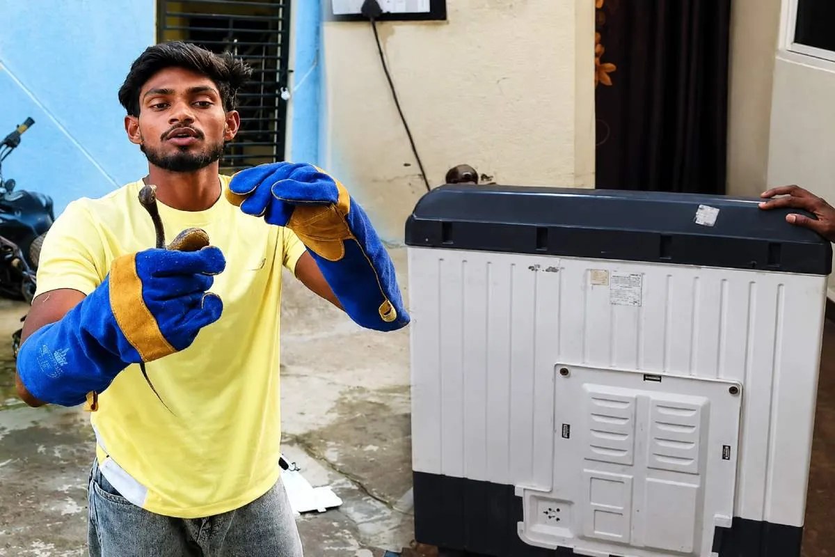 Dewas News: वॉशिंग मशीन में छिपा था कोबरा, Video | Cobra Found In Washing Machine Snake Rescue