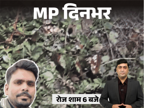 MP दिनभर, 10 बड़ी खबरें:  हाथी ने कुचलकर मार डाला; कारोबारी की तलवार से काटकर हत्या; 2 साल बाद मिला पति का डेथ सर्टिफिकेट – Madhya Pradesh News
