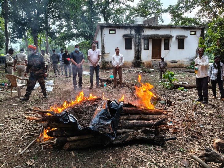 सतना में वन कर्मी का परिवार निकला बाघ का शिकारी: दो महीने बाद कब्र खोदकर अवशेष मिले; तीन हिरासत में – Satna News सतना में वन कर्मी का परिवार निकला बाघ का शिकारी: दो महीने बाद कब्र खोदकर अवशेष मिले; तीन हिरासत में – Satna News