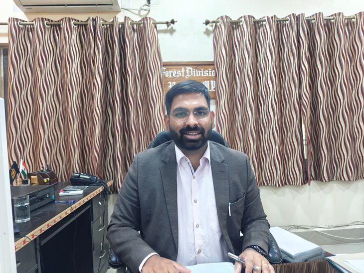 13 वनपालों को परिक्षेत्र सहायक बनाया: उमरिया में पदोन्नति के बाद कई वन परिक्षेत्रों में पदस्थापना – Umaria News 13 वनपालों को परिक्षेत्र सहायक बनाया: उमरिया में पदोन्नति के बाद कई वन परिक्षेत्रों में पदस्थापना – Umaria News