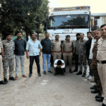 19 दिन पीछा,600 किमी रूट, 800 CCTV से मिला डंपर:  GPS बंद कर रास्ते बदलते रहे चोर, मेवात में 150 लोगों से पूछताछ कर नेटवर्क तक पहुंची पुलिस – Bhind News