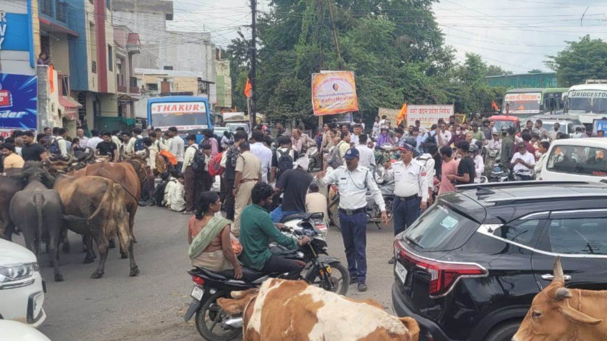 एमपी में इंदौर-महू रोड पर छात्रों ने लगाया जाम: बस किराया बढ़ोतरी और छात्राओं से अभद्रता का आरोप एमपी में इंदौर-महू रोड पर छात्रों ने लगाया जाम: बस किराया बढ़ोतरी और छात्राओं से अभद्रता का आरोप