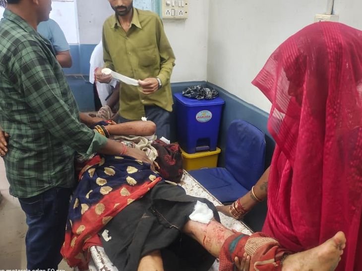 दमोह; लकड़ी बीनने गए पति-पत्नी पर भालू का हमला:  दोनों गंभीर घायल, हटा अस्पताल में इलाज जारी; वन विभाग ने दी आर्थिक मदद – Damoh News
