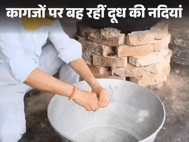 शैंपू-यूरिया वाला ‘जहरीला दूध’ पी रहा MP?:  दुधारू पशु नहीं बढ़े, फिर 33.27 लाख टन दूध कहां से आया; देखिए कैसे बनता है ‘सफेद जहर’ – Madhya Pradesh News